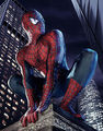 SPIDERMAN 74436845