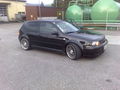 gti fan berni 62313487