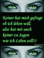 ~~~°~*~Bilder die ich mag~*~°~~~ 3496078