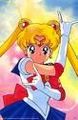 Sailor Moon 48772410