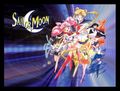 Sailor Moon 48772414