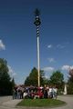 Maibaum aufstellen! 42567490