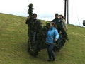 Maibaum aufstellen 37595501