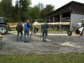 Maibaum aufstellen 37595661