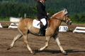 Reiten 32748539