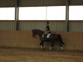 Reiten 32748561