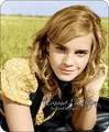 *+~Emma Watson~+* 33704724