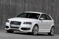 Audi A3/S3 32819953