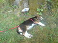 i UnD MeI hUnD!!!!!!!!!!!!! 45206977