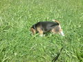 i UnD MeI hUnD!!!!!!!!!!!!! 45207531