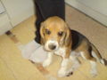 i UnD MeI hUnD!!!!!!!!!!!!! 45207905