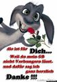 ? ?? oHnE WoRtE ........ 43574937