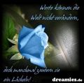 ? ?? oHnE WoRtE ........ 43577511