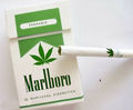 Marlboro Green 64936190