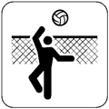 Volleyball 32934646