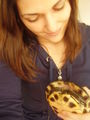 deshalb turtlegirl, *gg* 52641489