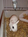 Pauli u. Kleo(patra) 46206550