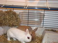 Pauli u. Kleo(patra) 46206562