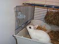 Pauli u. Kleo(patra) 46206596