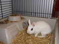 Pauli u. Kleo(patra) 46206619