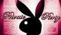 *Bunny* 34984982