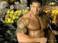 WWE.....geil! 33774931