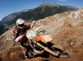 Erzbergrodeo 73805502