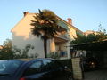 Kroatien (Porec) 65773728