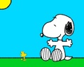 snoopy 34877724