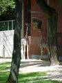 Zoo Schmiding 60435280