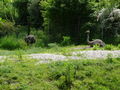 Zoo Schmiding 60435439