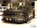 mustang 43590746