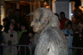  Krampuslauf - Schladming 24.11.07 35919703