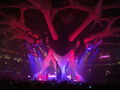 SENSATION-WHITE@PRAG 2008 39130425