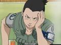 Shikamaru  33834742