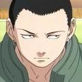 Shikamaru  33834752