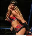 WWE Diva Ashley Massaro 41294698