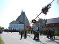 Maibaum 2009 61559728