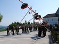 Maibaum 2009 61559745