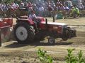 Traktor Pulling (Hollabrunn) 44389312