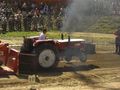 Traktor Pulling (Hollabrunn) 44389333