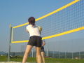 Volleyball! 57270248