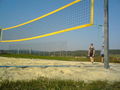 Volleyball! 57270309