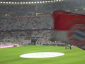 FC Bayern-1899 Hoffenheim 70874128