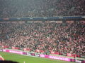 FC Bayern-1899 Hoffenheim 70874866