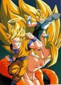 Dragonball 33863521