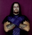 undertaker 34878446