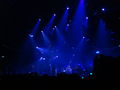 OASIS live 55010507