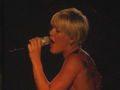 P!NK Live 56686019