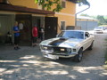 Pony Cars (Muscle Cars) 34196045